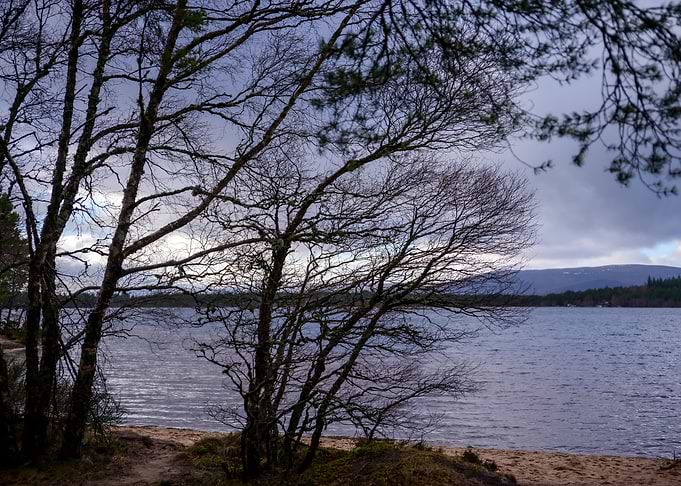 Late Afternoon Landscape