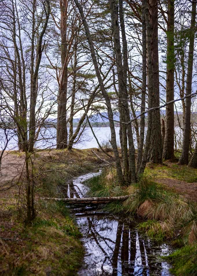 Flowing into a Lake