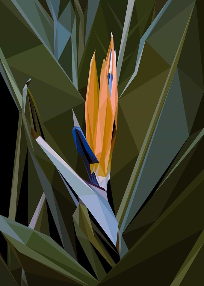 Cendrawasih Flower Lowpoly