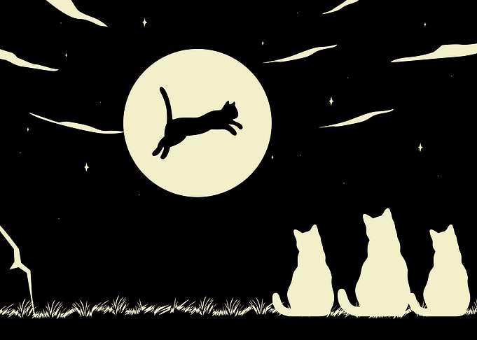 Nighttime Cat Silhouette