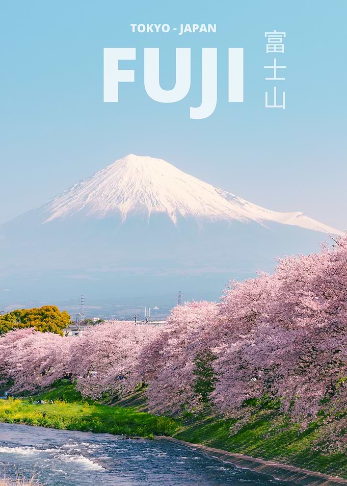 Mount Fuji And Sakura