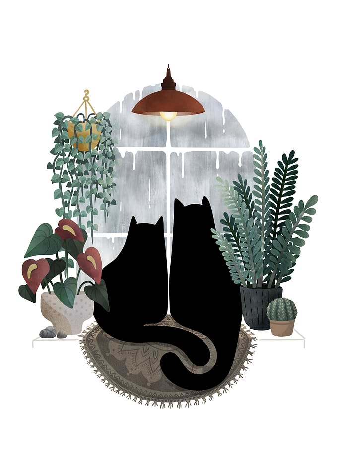 Rainy Day Cats