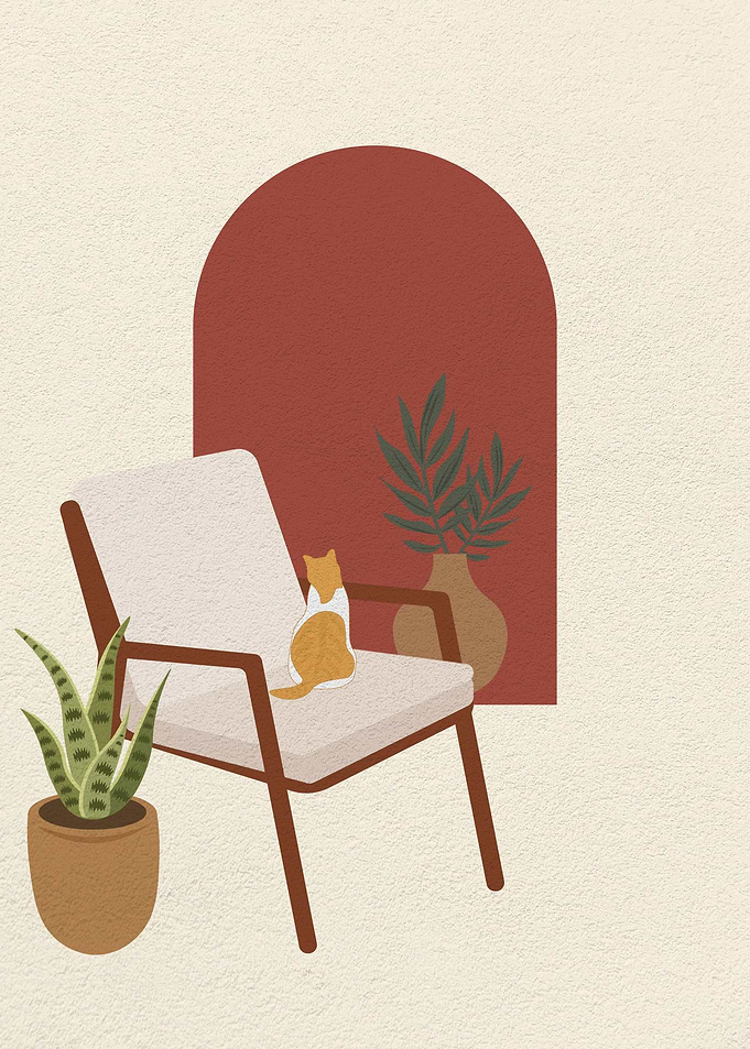 Cat on a chair and window