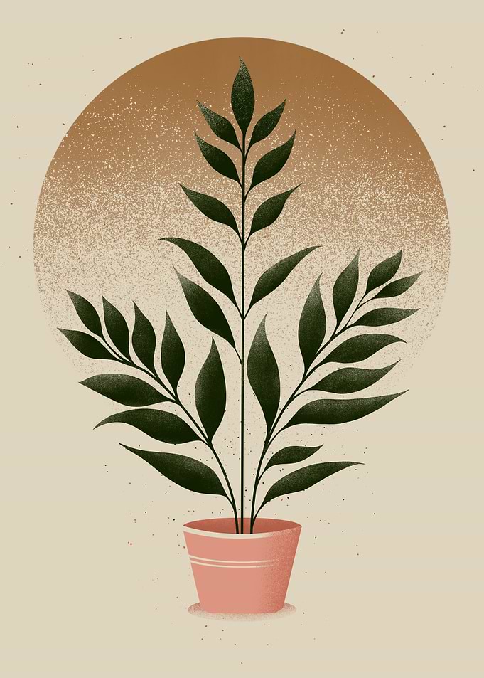 Plant Illustration