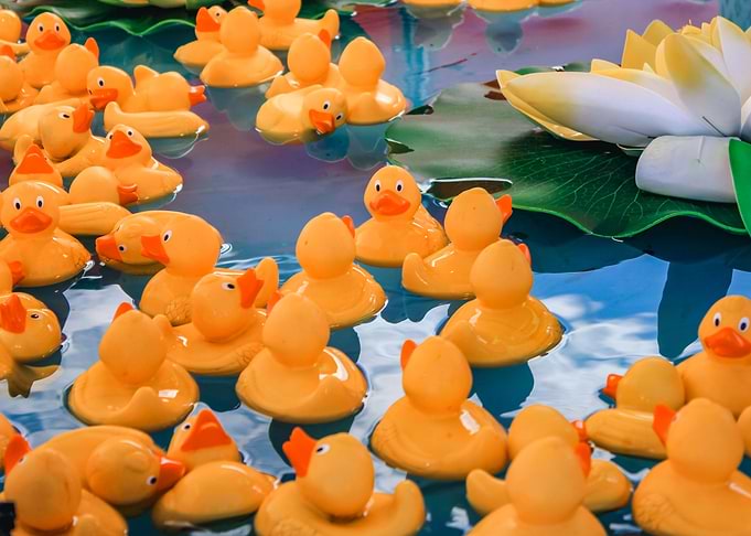Rubber Ducks