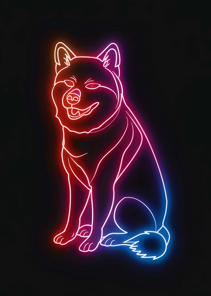 Light Neon Japan