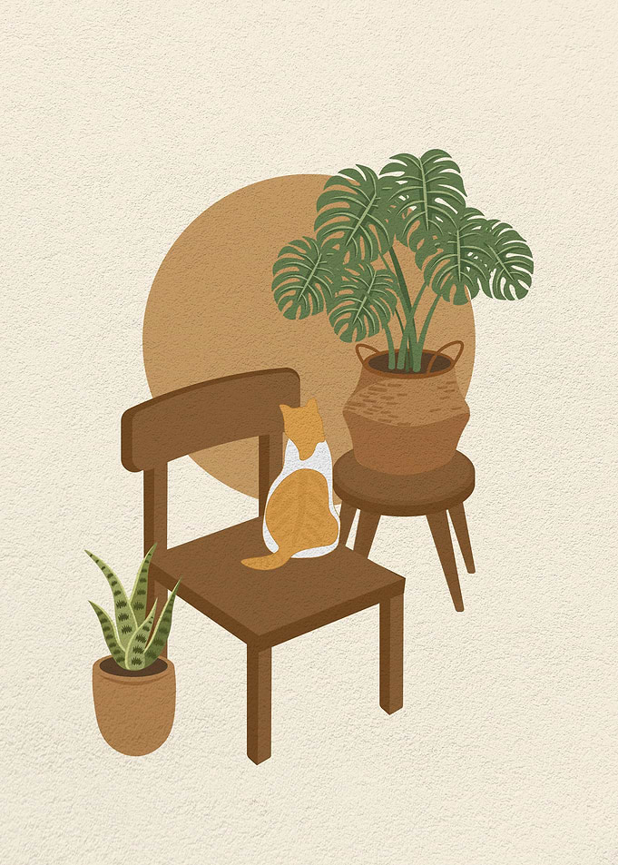 Cat Sitting on a Chair