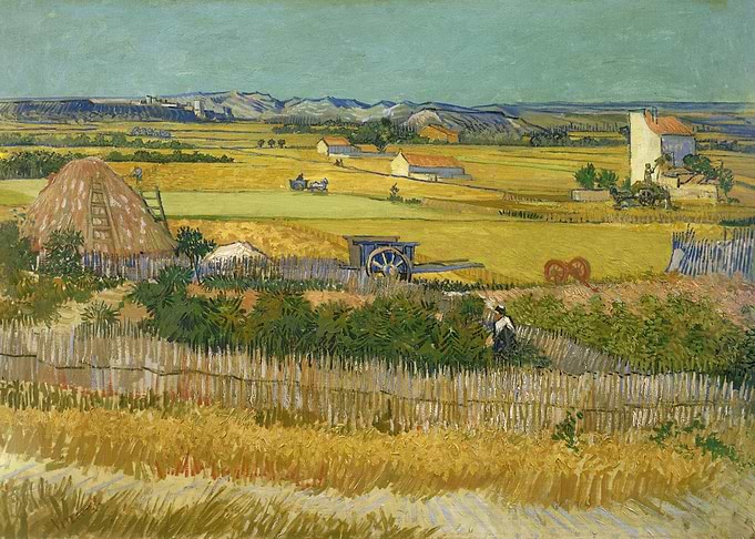 The harvest