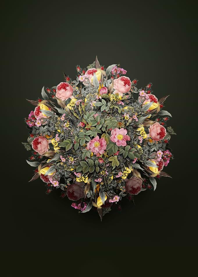 Pink Rosebush Bloom Wreath
