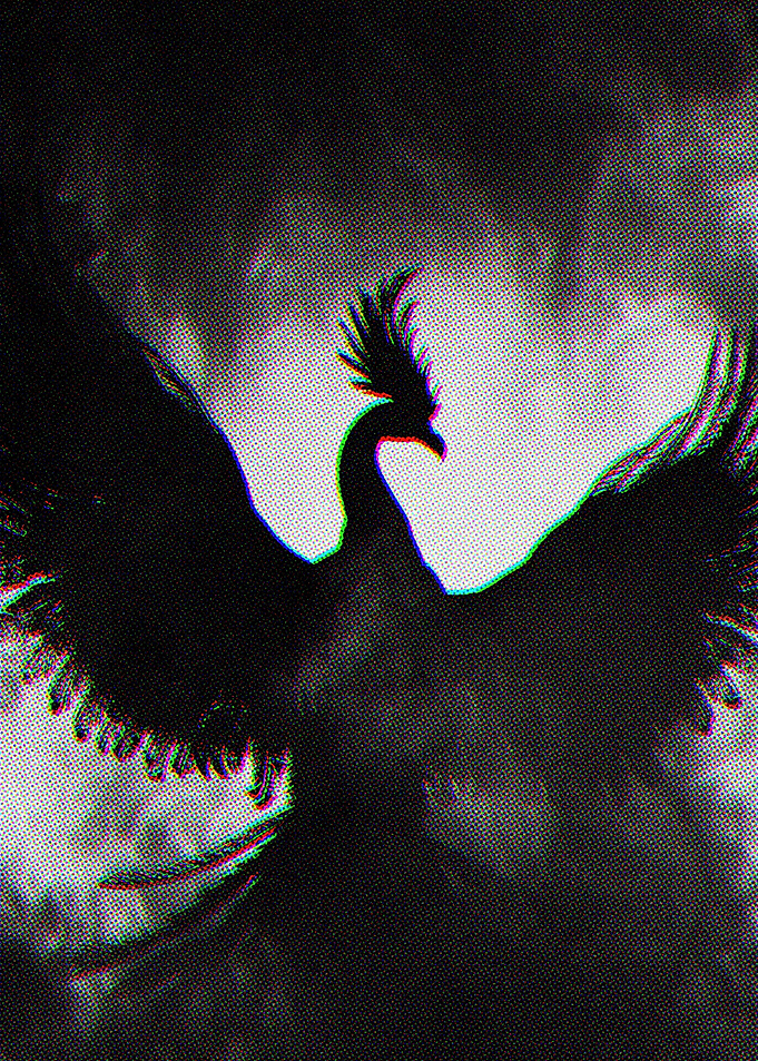 Black Phoenix
