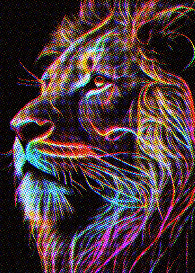 Colorful Line Art Lion