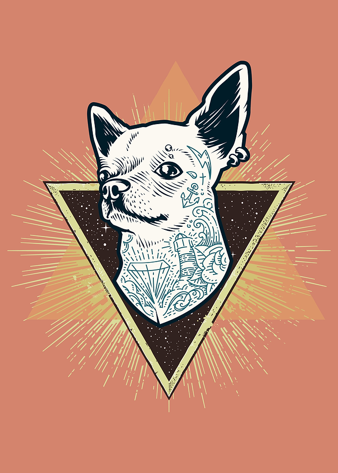 Chic Chihuahua
