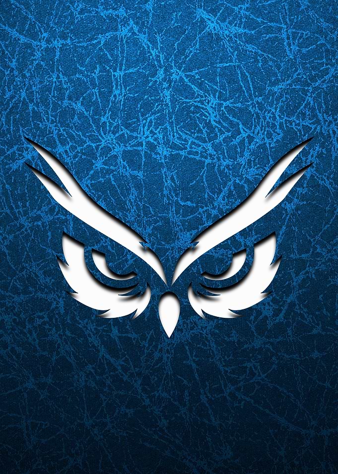 Owl With Eyes Blue Texture