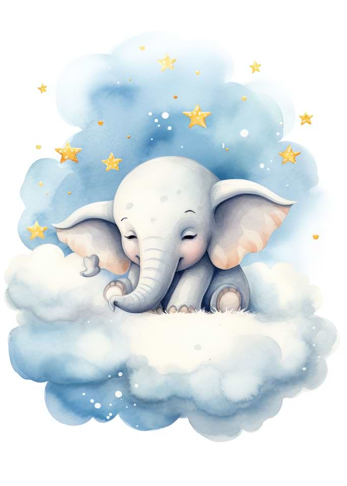 Baby elephant