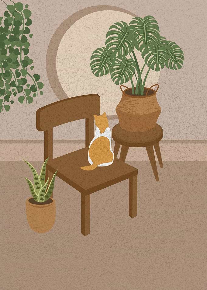Cat on vintage chair