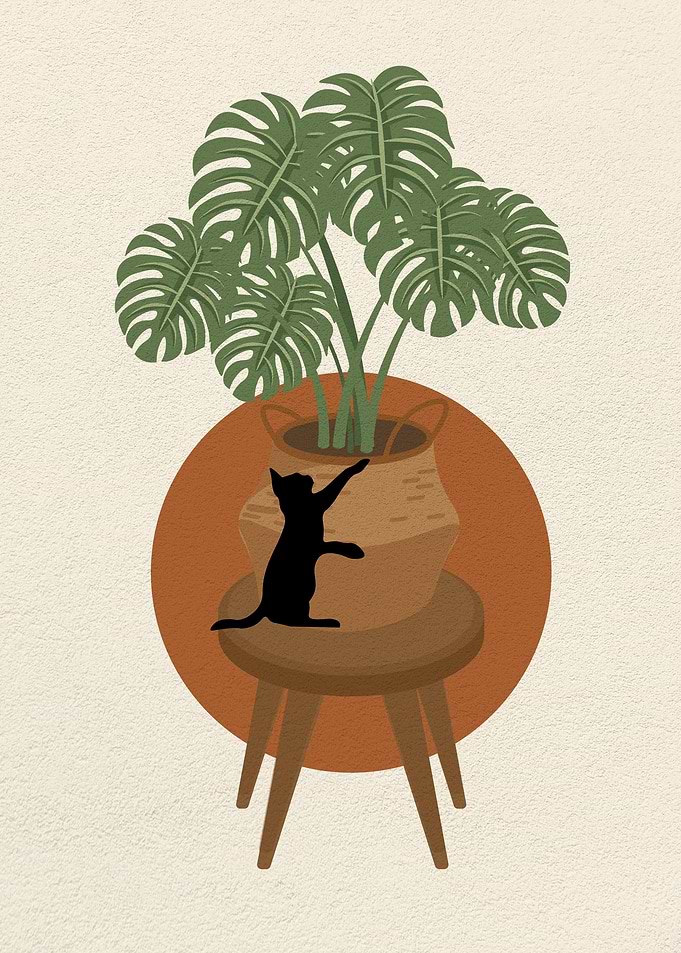 Ccats and potted plants