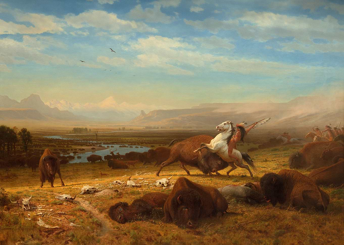 The Last of the Buffalo