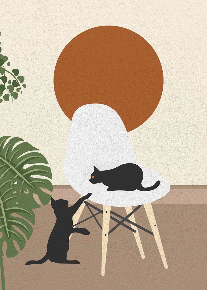 Cat playing on the chair