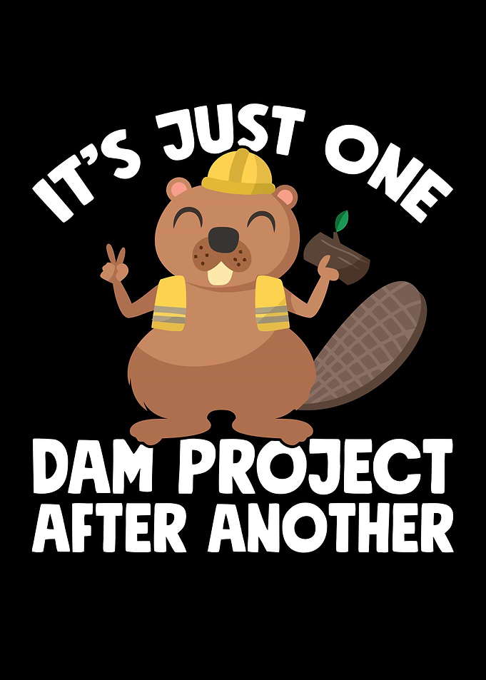 Its Just One Dam Project