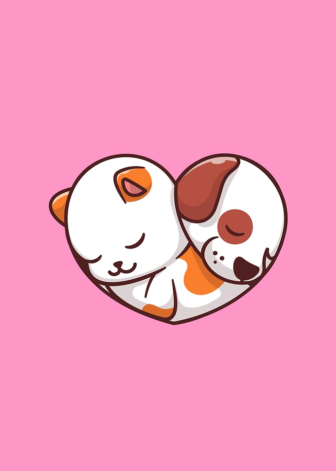 Cute Cat And Dog Sleeping