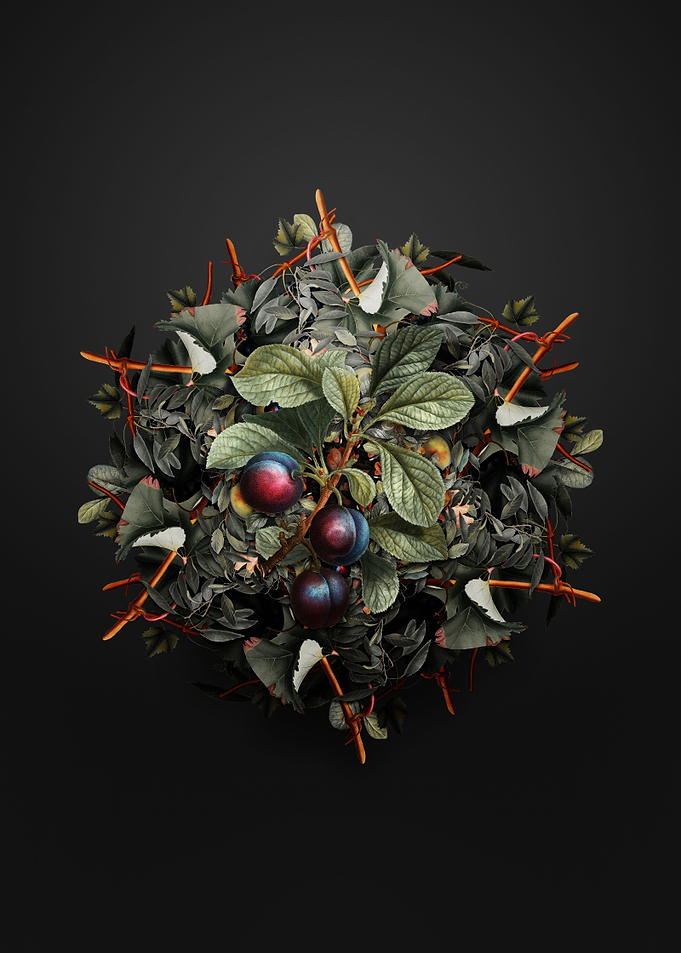Cherry Plum Fruit Wreath
