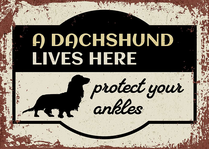 Retro Dachshund Warning 1