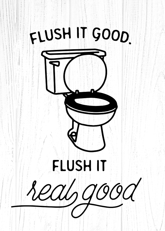 Funny Bathroom Flush It