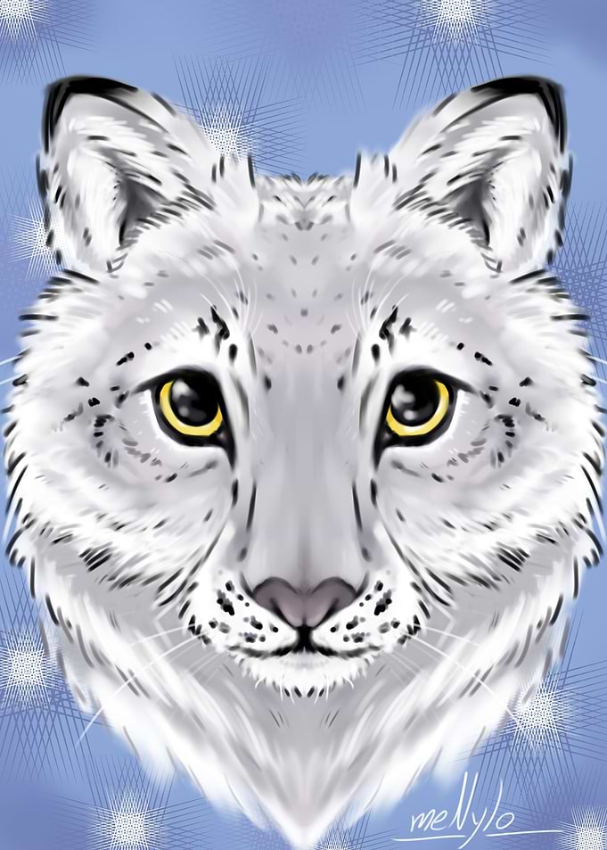 Fluff ball