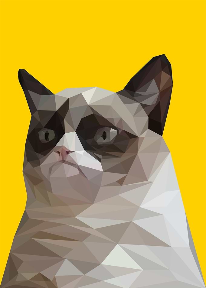 nope cat meme