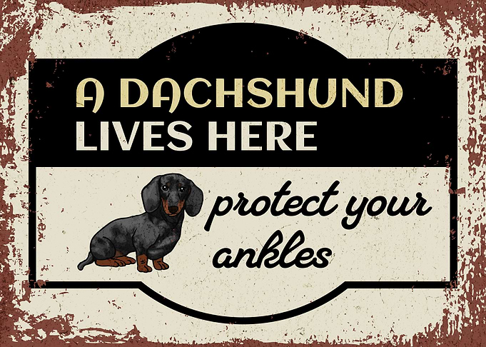 Retro Dachshund Warning 2