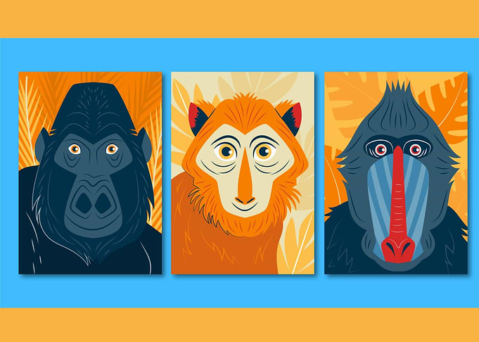 Wildlife Wonders