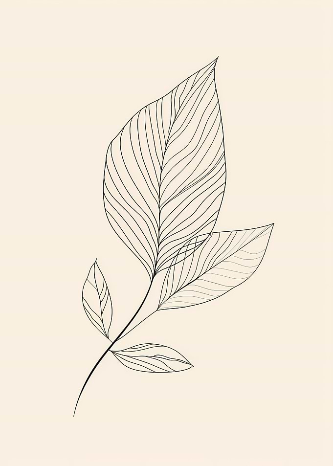 Line Art Flower Leaf