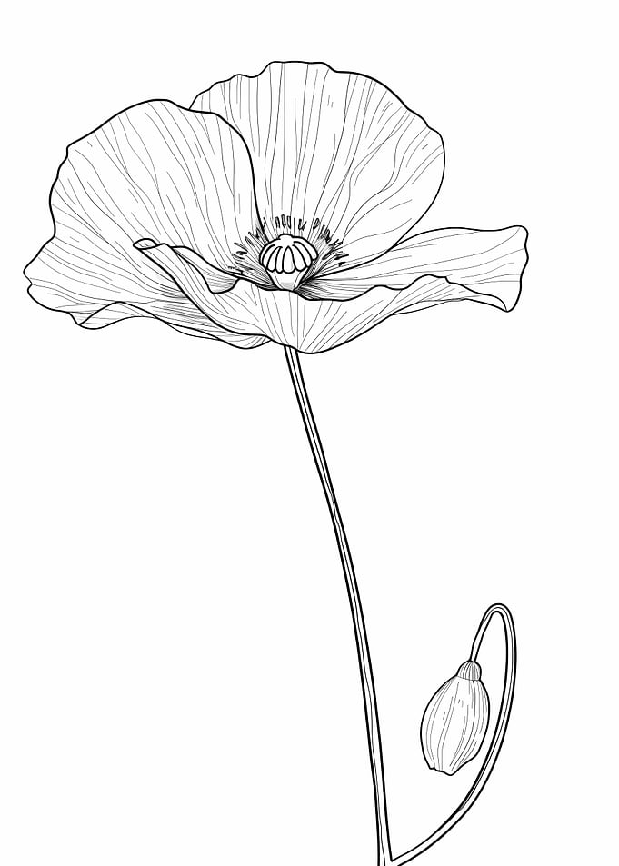 Line Art Flower