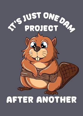 Its Just One Dam Project