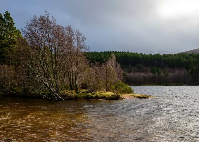 Loch Morlich in Scotland
