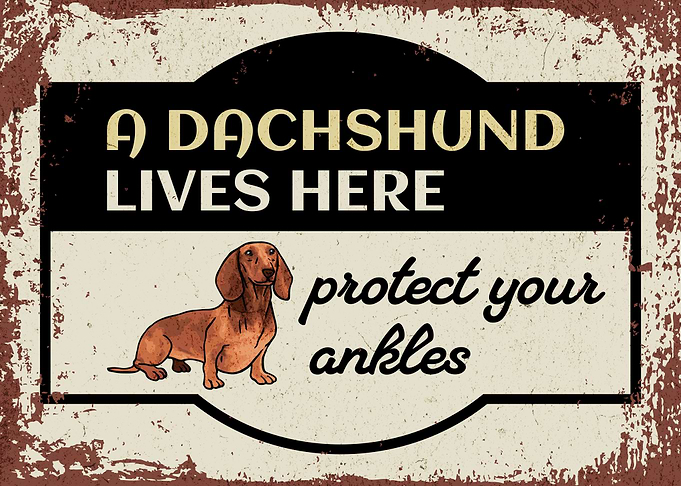 Retro Dachshund Warning 3