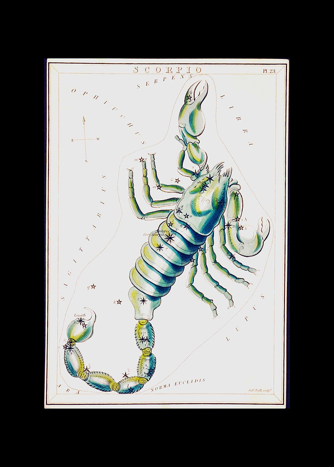 Zodiac Sign Scorpio