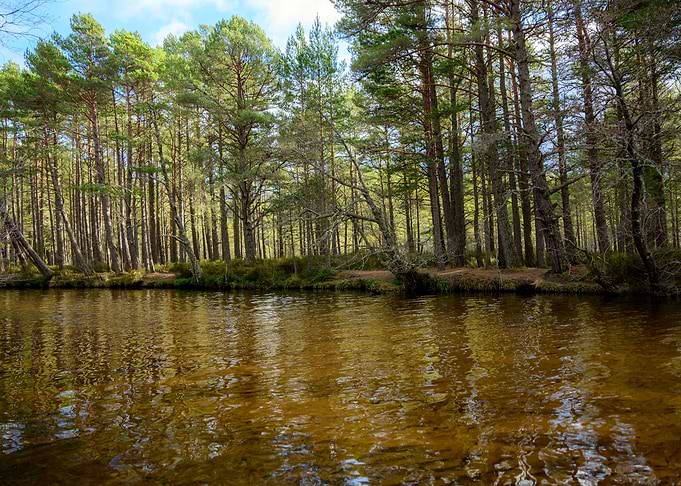 Iron River