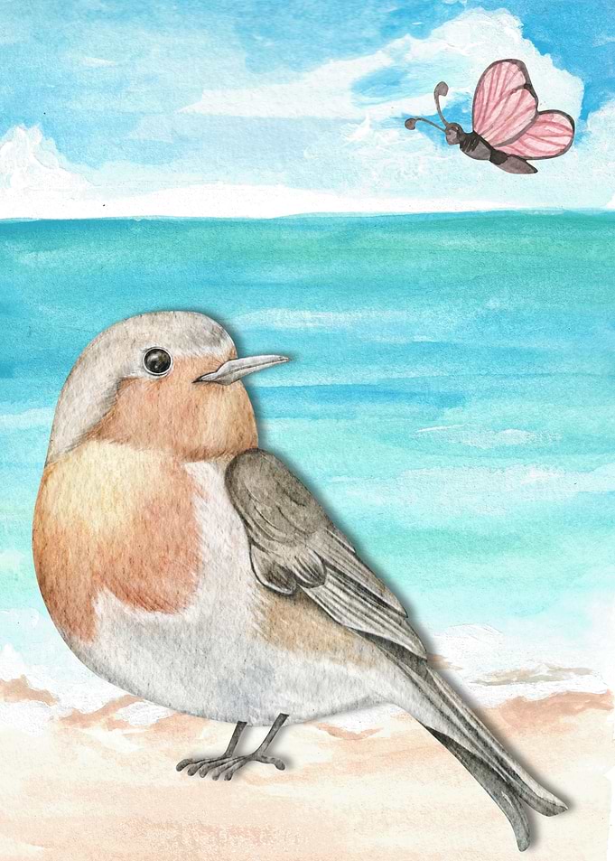 Birds And Butterfly