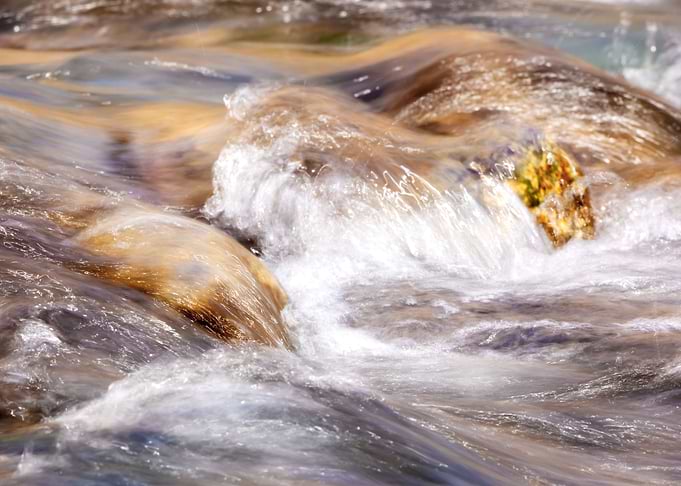 Turbulent woodland stream