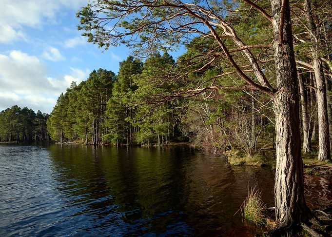 Lake