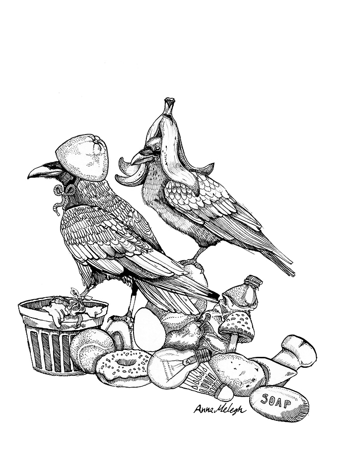 Crows treasure hunting