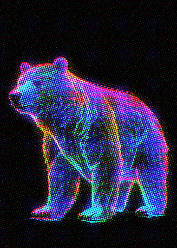 Line Art Bear