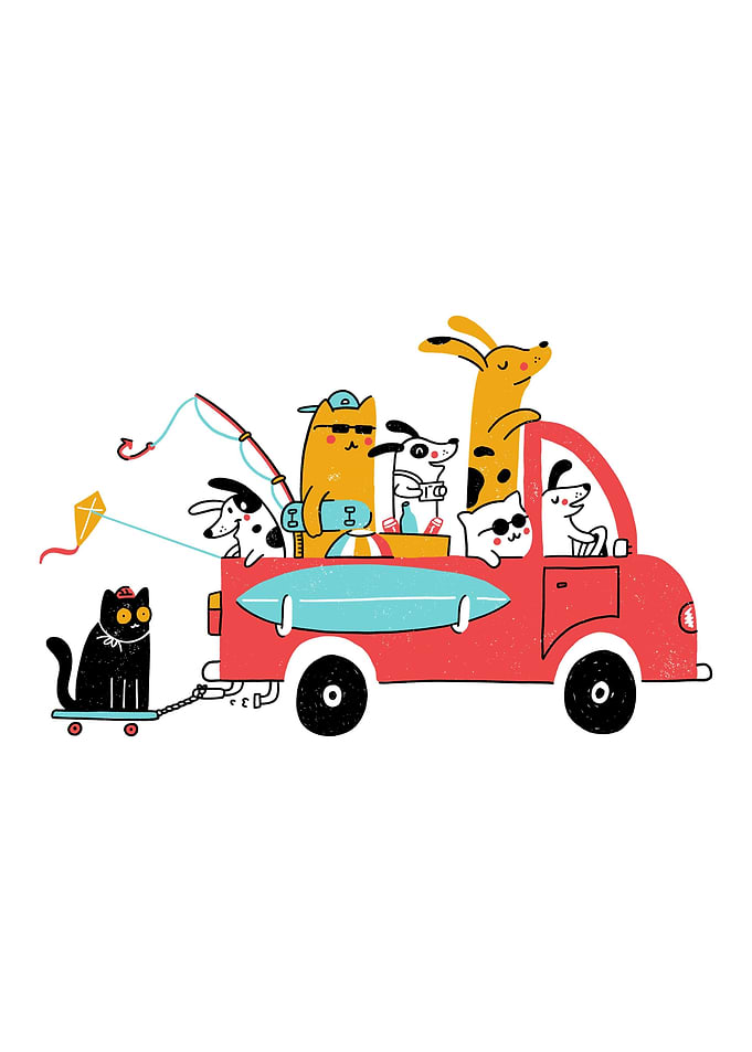 Pets Traveling