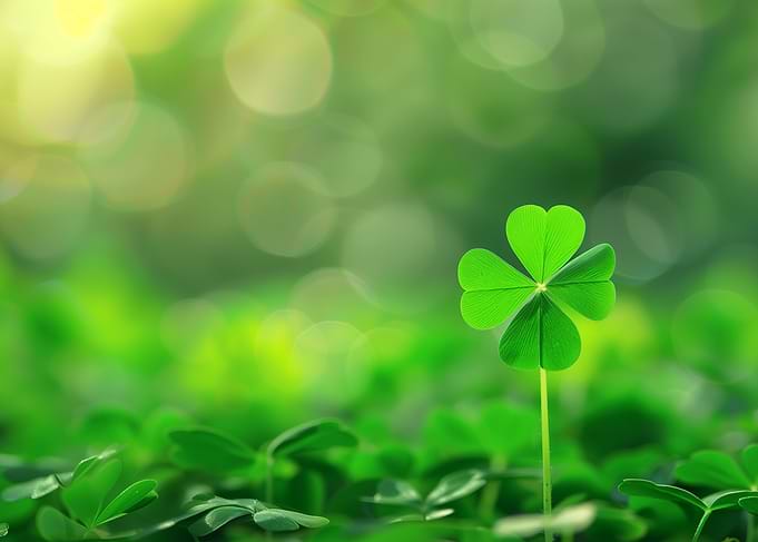 Shamrocks