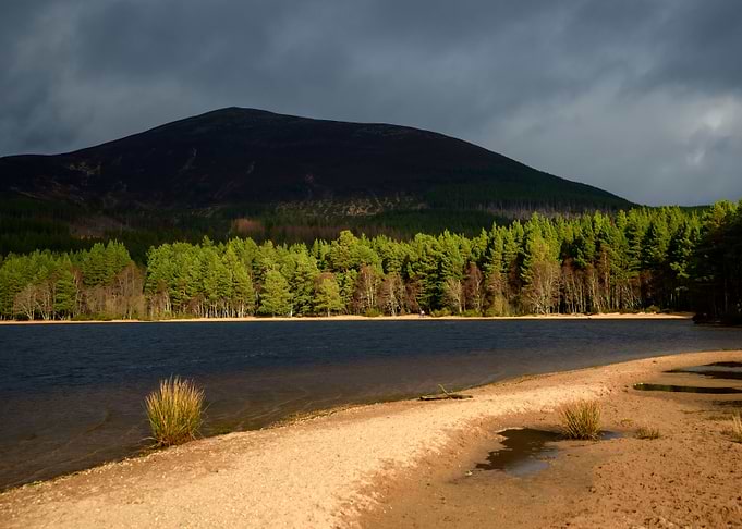 Loch Morlich in Scotland