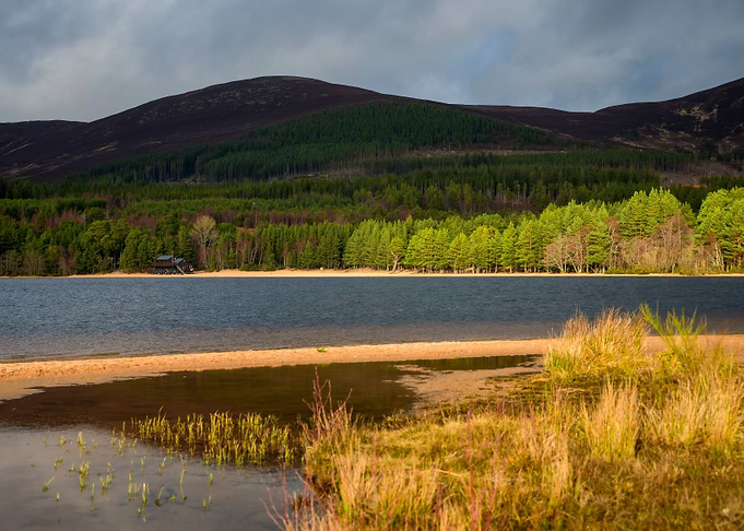 Loch Morlich in Scotland