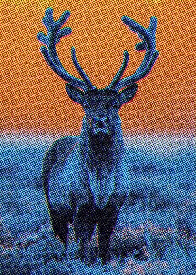 Majestic Blue Deer