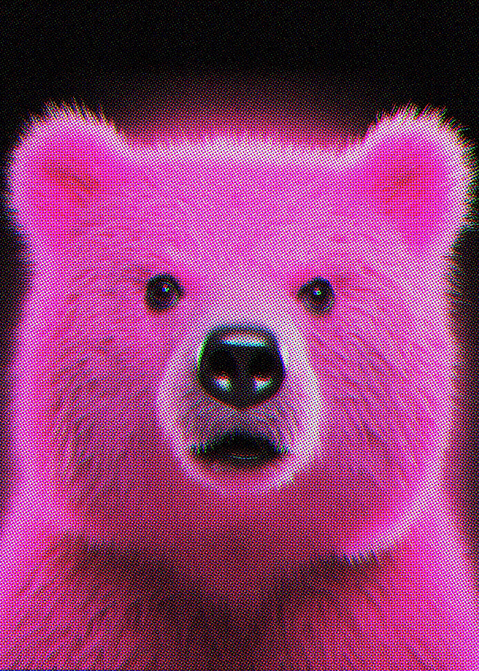 Pink Bear