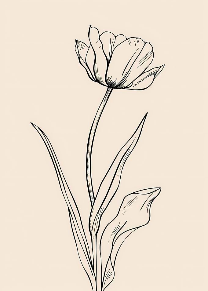 Line Art Flower Tulip